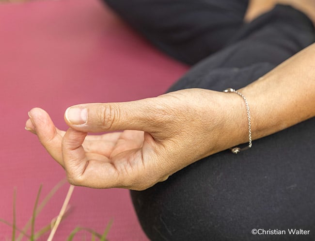 Lire la suite à propos de l’article Hatha Yoga : mini séance (20mn)
