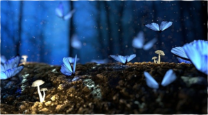 Read more about the article Yoga Nidra et pacification intérieure