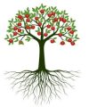 Arbre de vie Arbre de vie