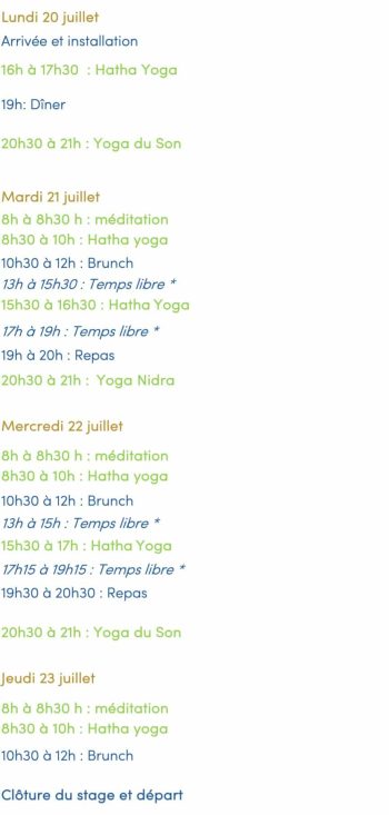 V2_Stage été 2026_Programme